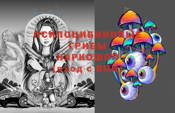 шишки Богданович