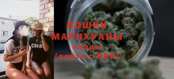 шишки Богданович