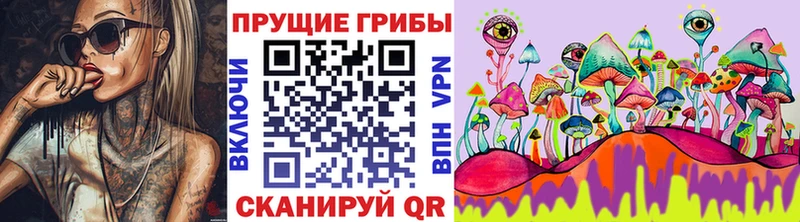 закладка  Нижний Тагил  маркетплейс телеграм  Галлюциногенные грибы MAGIC MUSHROOMS 